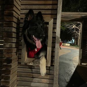 Meet your Posher, Xavier